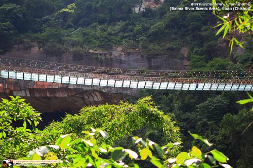 Baima River Scenic Area (18)