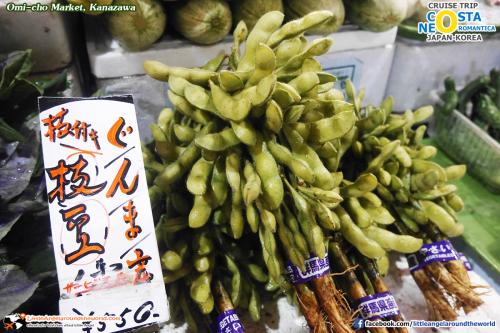 Omi-cho : ทริปล่องเรือสำราญ Costa neoRomantica เที่ยวคานาซาวะ Kanazawa